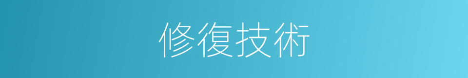 修復技術的同義詞