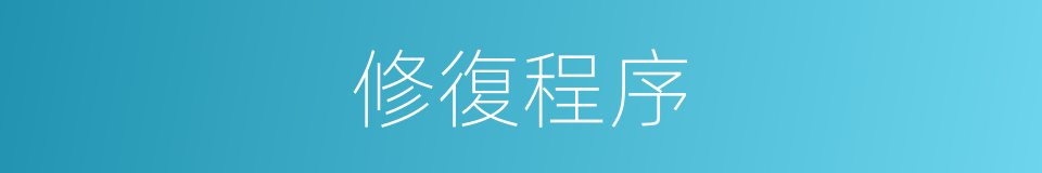 修復程序的同義詞