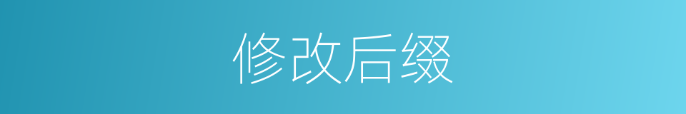 修改后缀的同义词