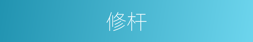 修杆的同义词