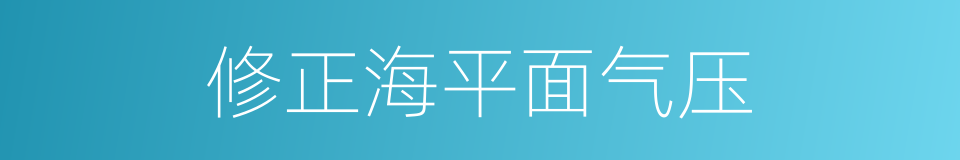 修正海平面气压的同义词