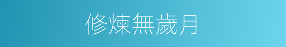 修煉無歲月的同義詞