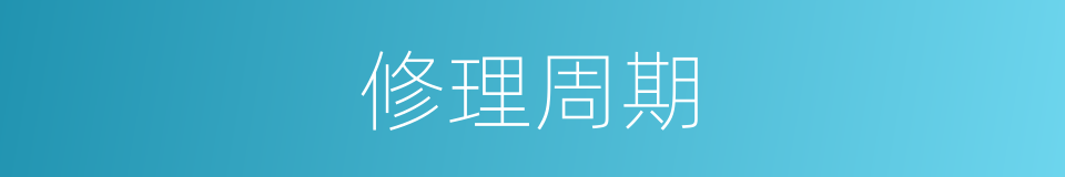 修理周期的同义词