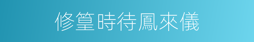 修篁時待鳳來儀的同義詞