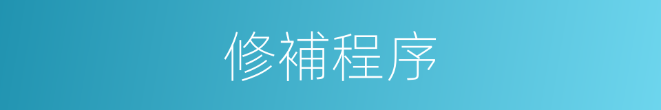 修補程序的同義詞