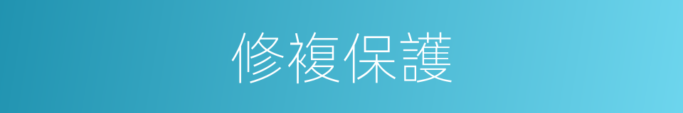修複保護的同義詞