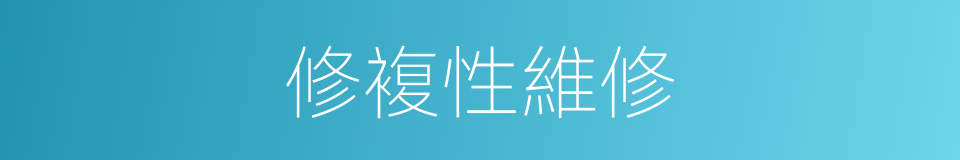 修複性維修的同義詞