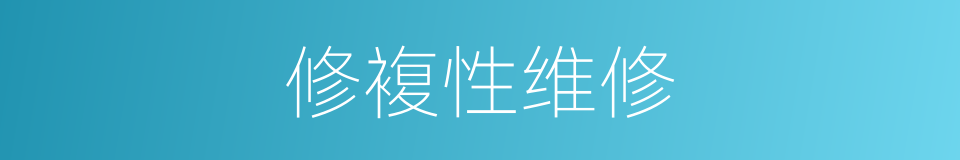 修複性维修的同义词