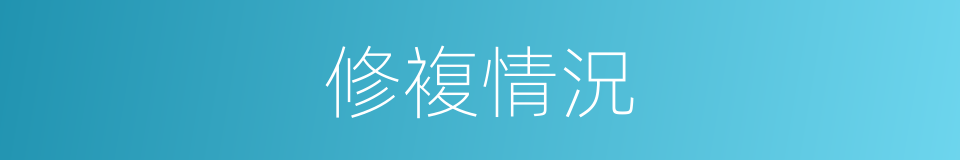 修複情況的同義詞