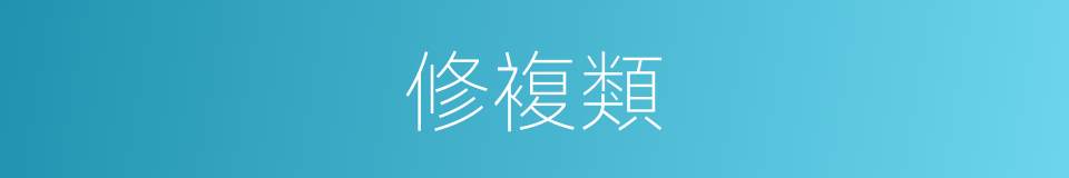 修複類的同義詞