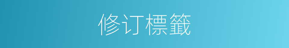 修订標籤的同義詞