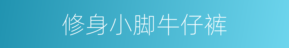 修身小脚牛仔裤的同义词