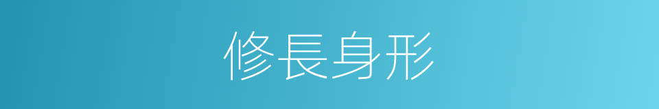 修長身形的同義詞