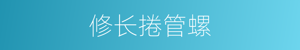 修长捲管螺的同义词