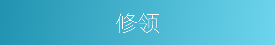 修领的同义词