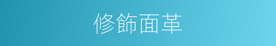 修飾面革的同義詞