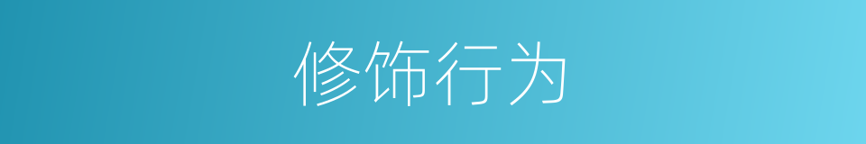 修饰行为的同义词