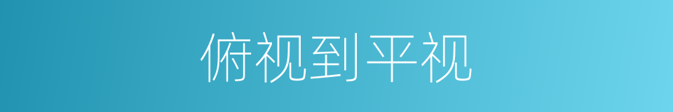俯视到平视的同义词