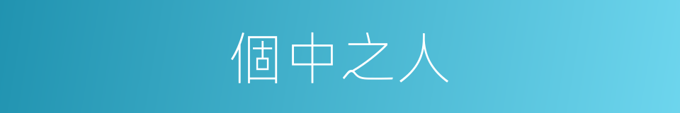 個中之人的意思