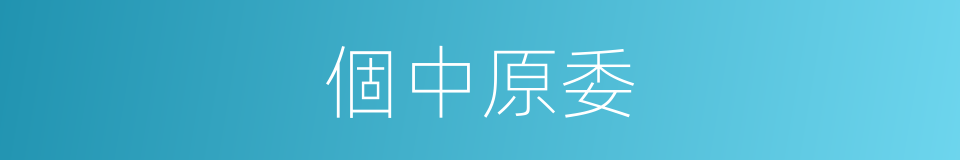 個中原委的意思