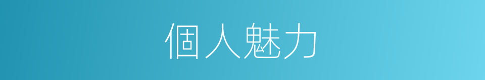個人魅力的意思