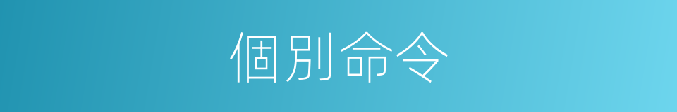 個別命令的同義詞