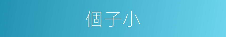 個子小的同義詞