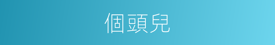 個頭兒的同義詞