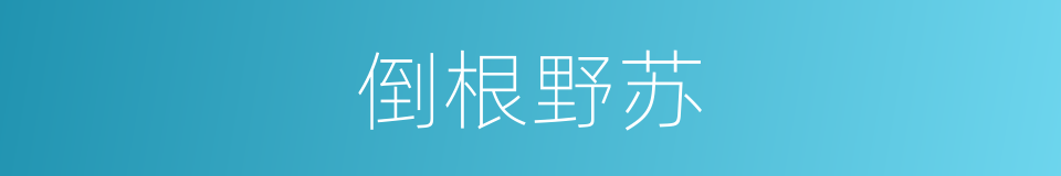 倒根野苏的同义词