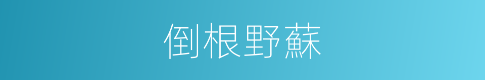 倒根野蘇的同義詞