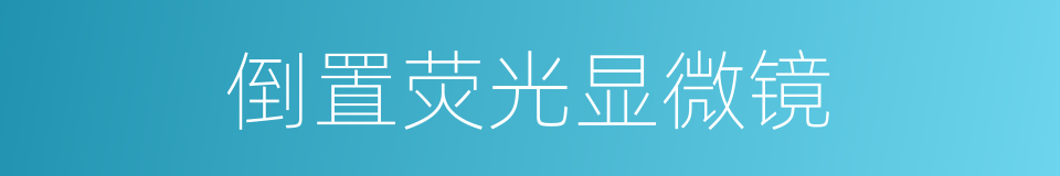 倒置荧光显微镜的同义词