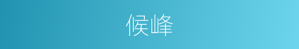 候峰的同义词