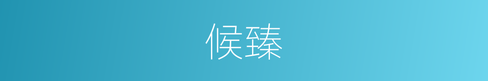 候臻的同义词