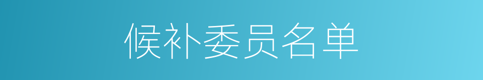 候补委员名单的同义词