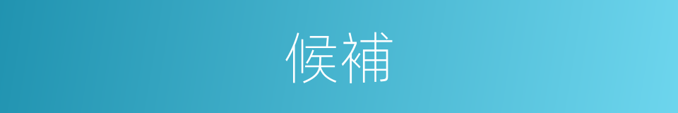 候補的意思