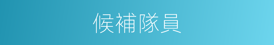 候補隊員的同義詞