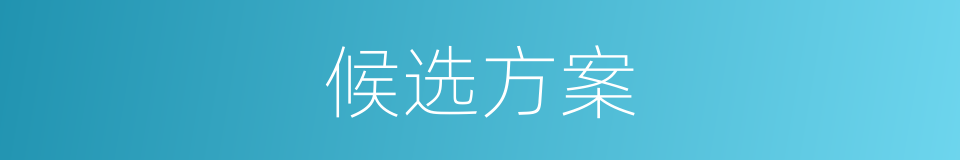 候选方案的同义词
