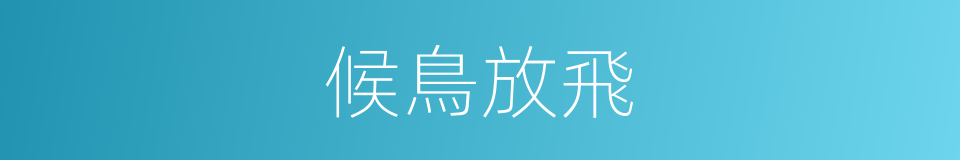 候鳥放飛的同義詞