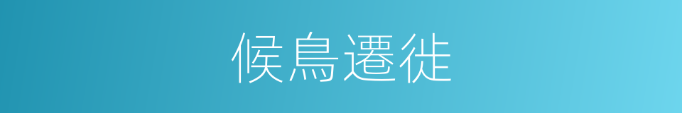 候鳥遷徙的同義詞