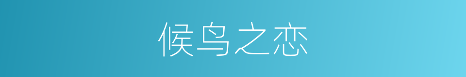 候鸟之恋的同义词