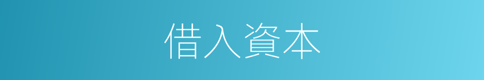 借入資本的同義詞