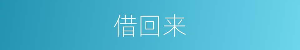 借回来的同义词