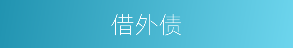 借外债的同义词