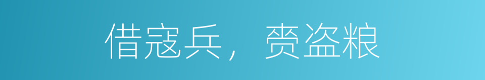 借寇兵，赍盗粮的同义词