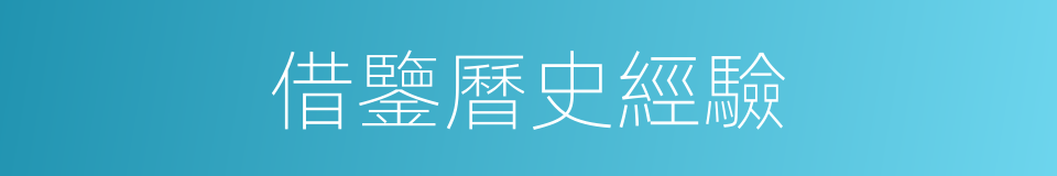 借鑒曆史經驗的同義詞