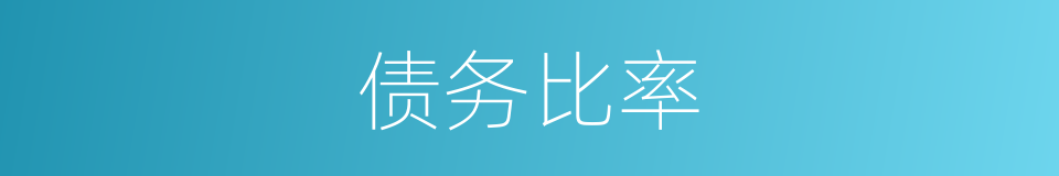 债务比率的同义词