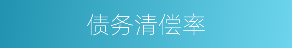 债务清偿率的同义词