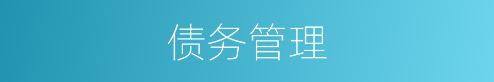债务管理的同义词