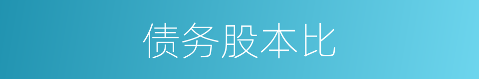 债务股本比的同义词