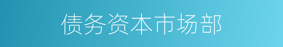 债务资本市场部的同义词